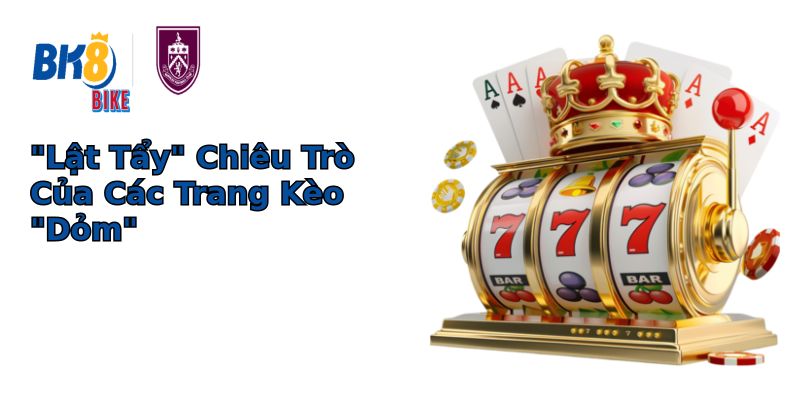 Khám Phá Thế Giới Năng Động Của Trang Kèo Nổi Tiếng - Từ Lợi Ích Đến Rủi Ro 2 lat tay chieu tro cua cac trang keo dom